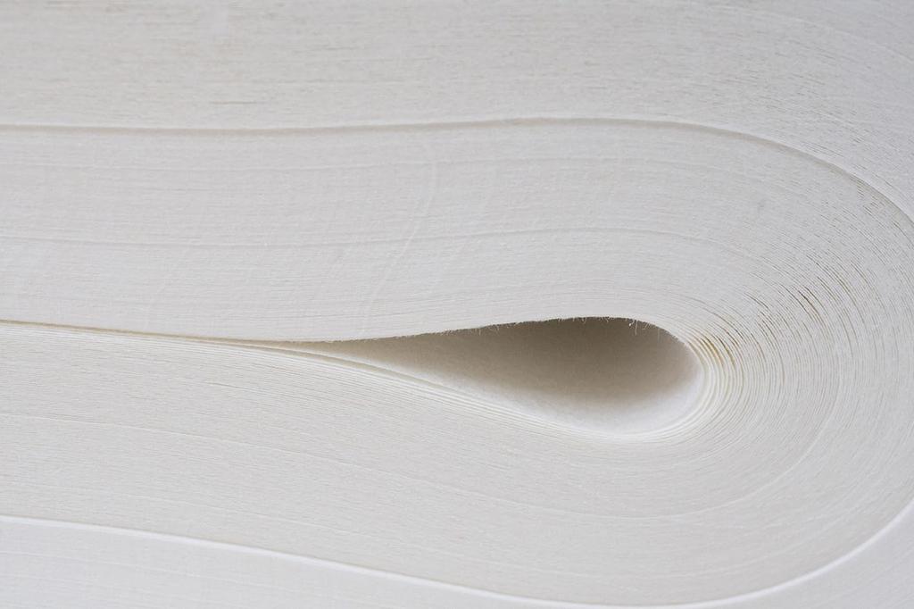 Kobaido Calligraphy Painting Paper, Ryokan Scroll Paper (35 X 136cm), 100 Sheets, Inshu Washi Paper, Smudge-Resistant and Easy To Write On