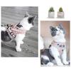 Katzen Geschirr mit Leine Set