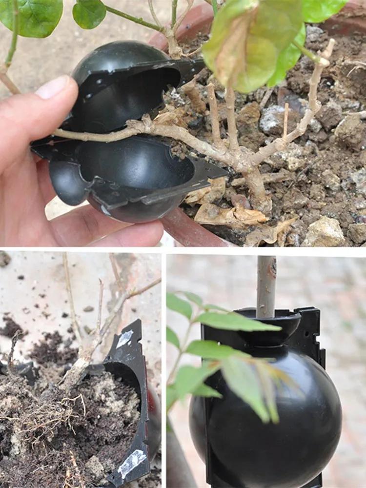 10 stk. Plante Rodningsbold Formering Rodningsboks Genanvendelig Plante Rod Vækstboks Stiklinger Podning Rodning Formering Potter