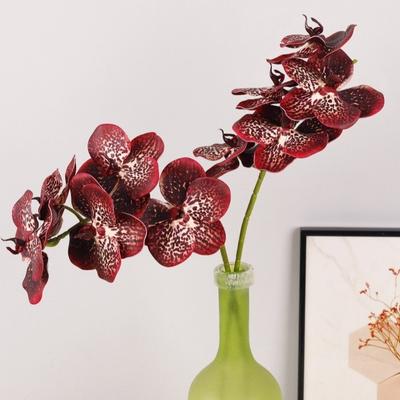 Butterfly Orchid Artificial Vanda Orchid Flower Real Touch Handmade Faux Phalaenopsis Luxury 67cm Simulation Big Moth Orchid