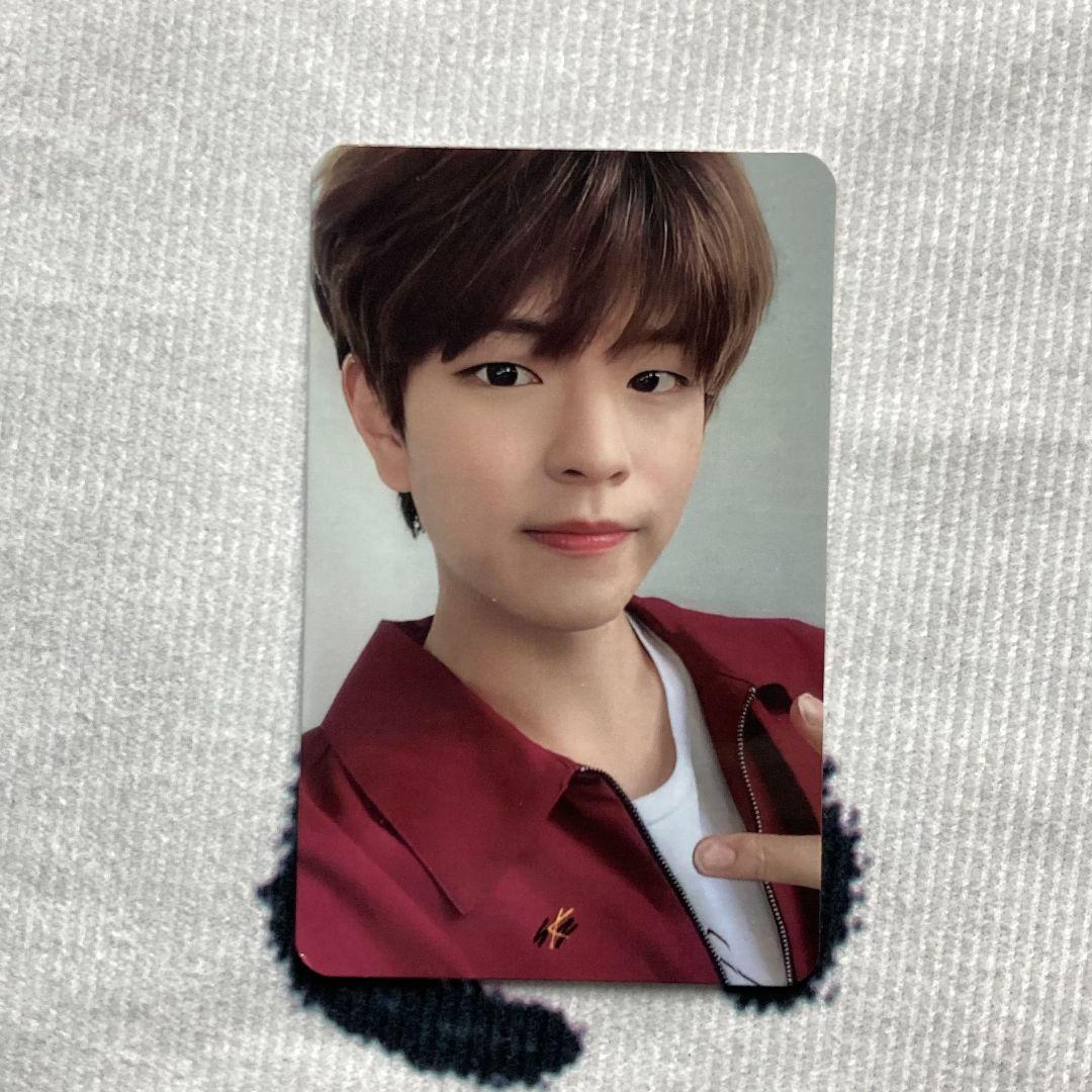 

[USED] Seungmin StrayKids YELLOW WOOD Limited Edition Sanok Trading Card