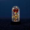 Eternal Rose in LED Glass