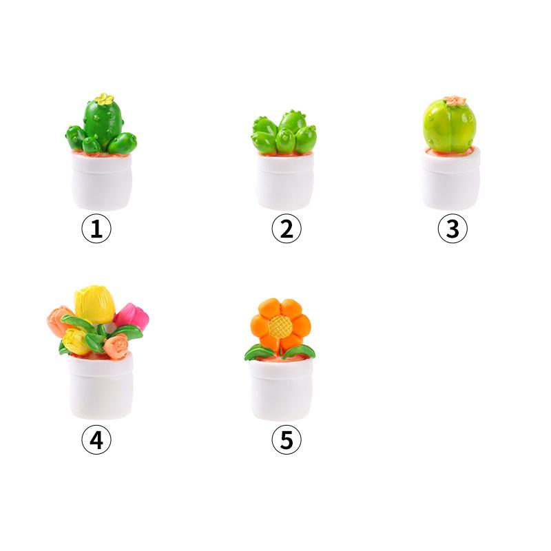 Mini Cactus & Succulent DIY Decor Set for Desktop & Car