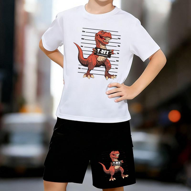 

Boys 2 Piece Tyrannosaurus Rex Themed Print outfit, Short Sleeve T-Shirt and Shorts Set for Kids Age 5-14,Black ,White Sporty Casual Summer Clothes 13-14 Years білий