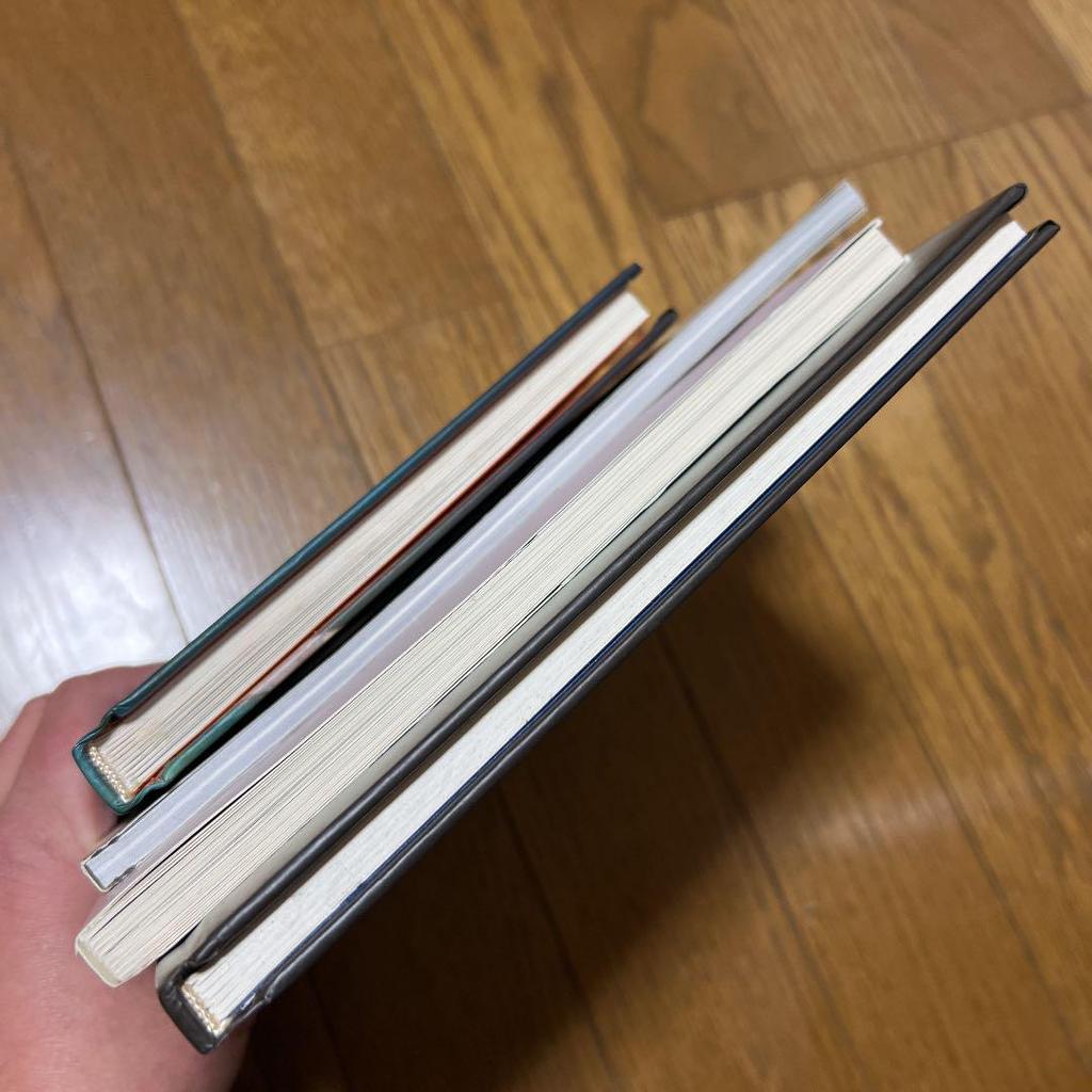 [USED] Sale Viggo Mortensen Collection 4-Book Set / Foreign Book Photo Book