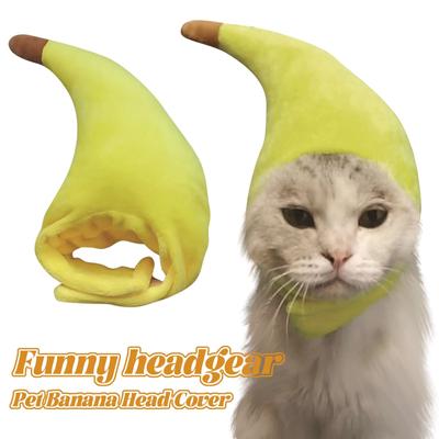 Funny Pet Costumes, Cats And Dogs Transformed Into Funny Holiday Costumes, Banana Hats And Headgear