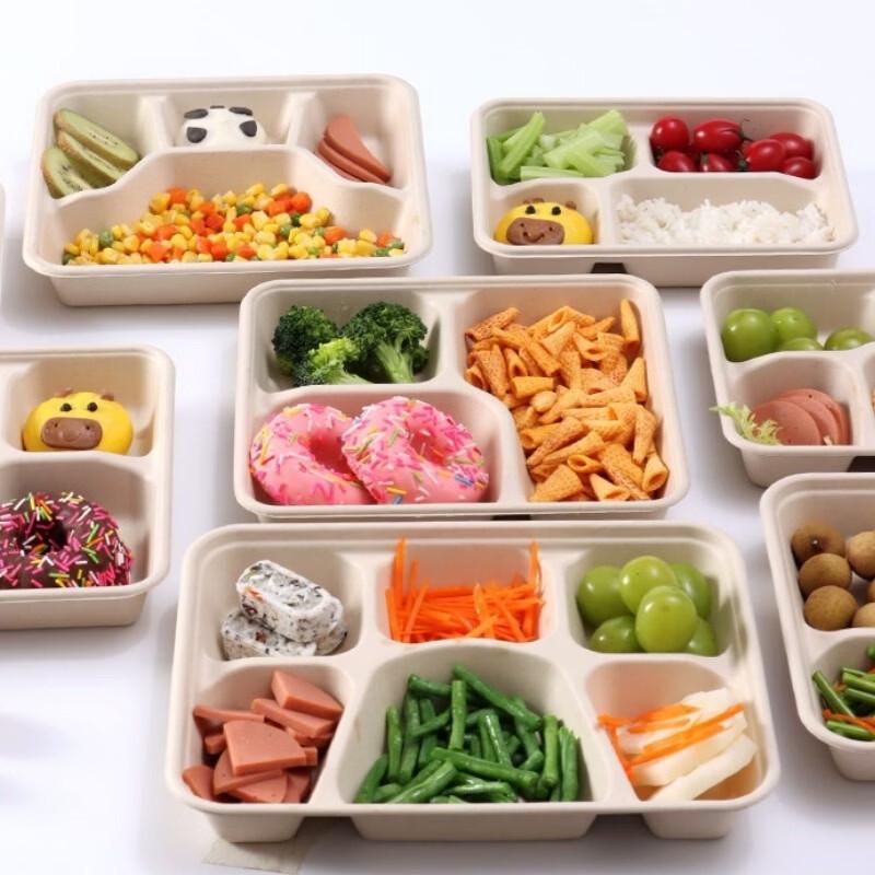 Disposable Sugarcane Pulp Compartment Food Containers
