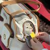 Outdoor Carriers Bag for Small Pet Dog Carriers Bag Cats Carriers Bag with Pouches Breathable Carry Bag for Dog Cats