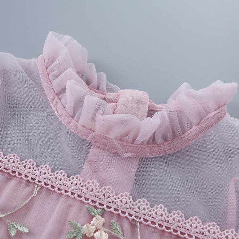 Mädchen Modekleid Frühling und Herbst Kinder Spitzen Mesh Stickerei Puffärmel Prinzessinnenkleid
