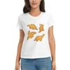 Üst Kıyafetler – T-shirtler