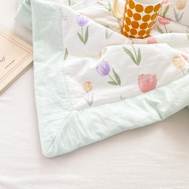 Jie Li Ya Soft & Breathable All-Season Double Quilt