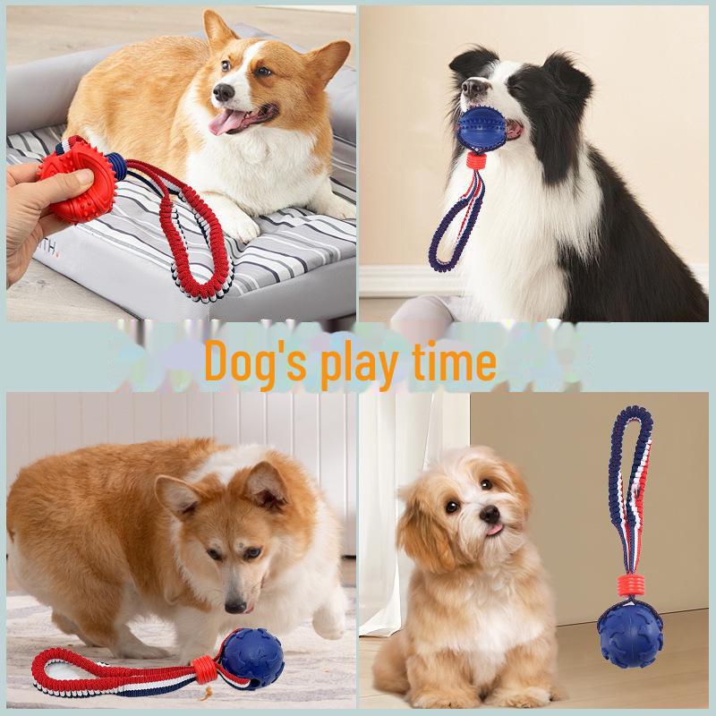 Grenseoverskridende kjæledyrleketøy: Elastisk tau-rugbyball for hundetrening, bittsikker og slitesterk.