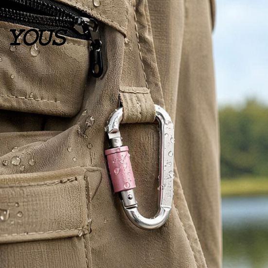 Aluminium Karabiner 4 Stück Heavy Duty Clip, Legierung Outdoor Schlüsselanhänger Karabiner, D-förmige Metallhaken Schnalle für Wasserflasche, Schlüssel, Rucksack