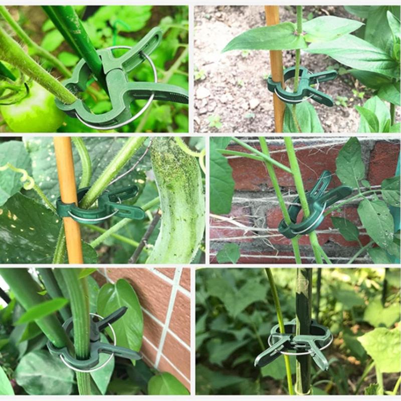 Plastic Plant Support Clips Plastic Clips Suitable for Securing Plant Tomato Vine Clips Plant Fixing Clips for Climbing