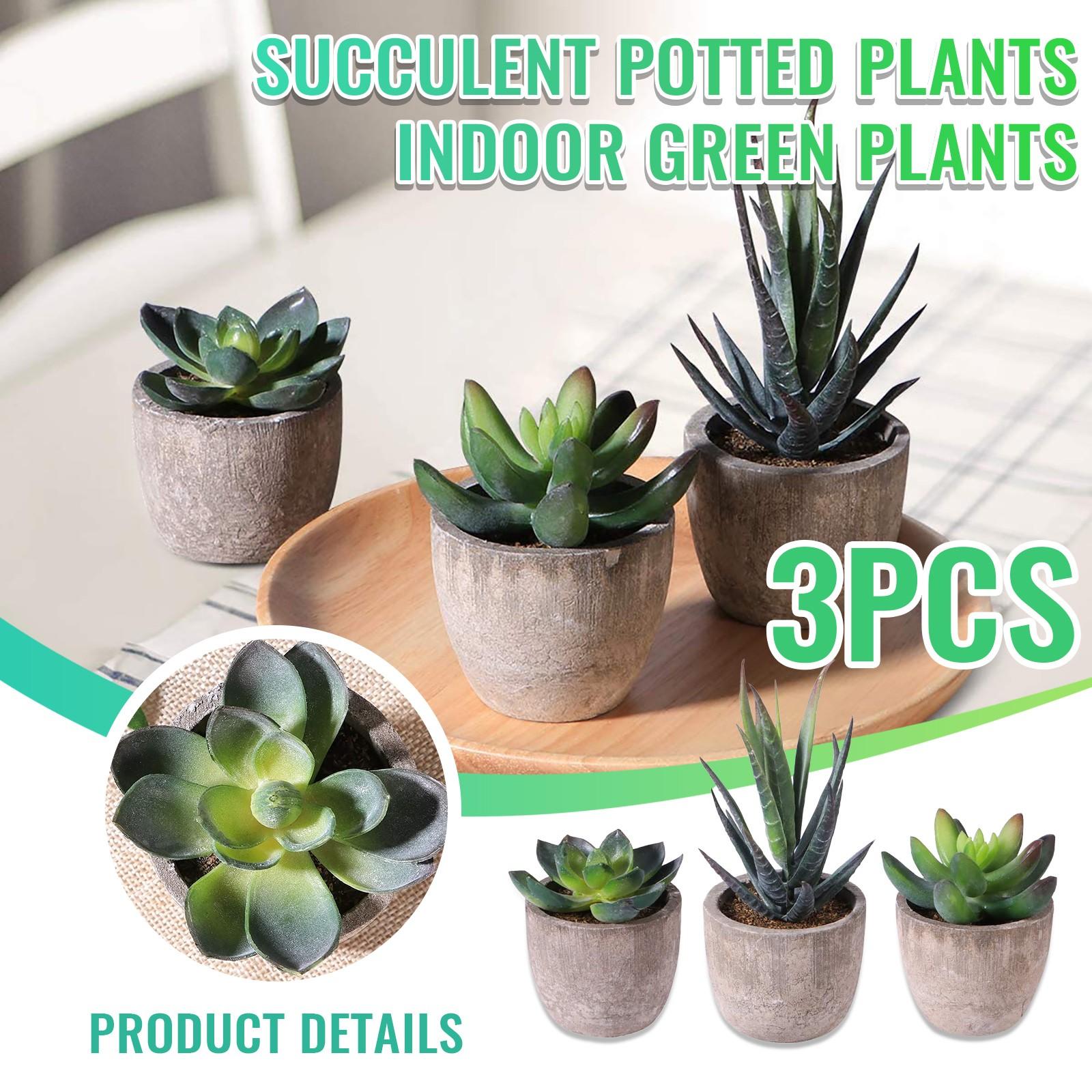 

3PC Faux Succulent Artificial Succulent Cactus Fake Cacti Plants With Gray Pots