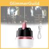 Bulb Rechargeable Led Light Stalls Outdoor Home Use Energy Efficient Portable