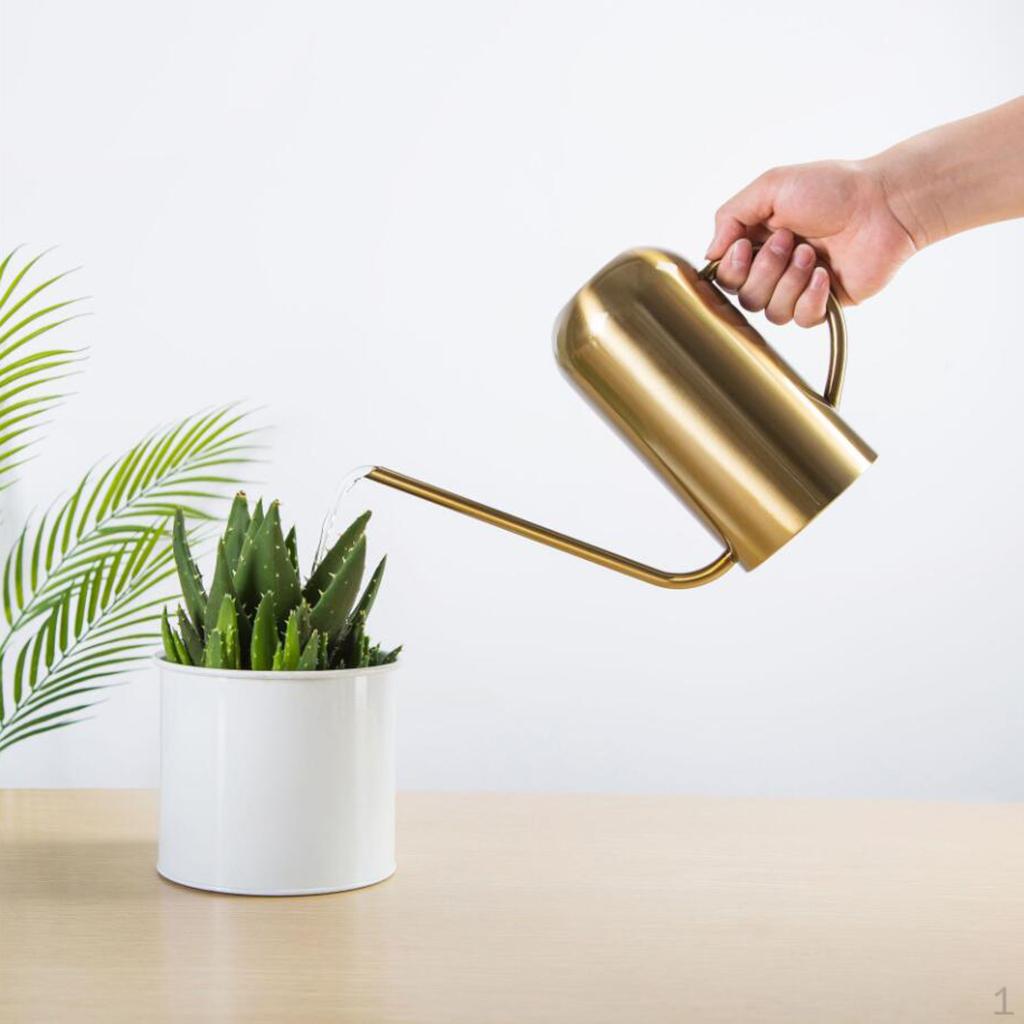 50oz / 1.5L Stainless Steel Watering Can, Metal Can with Long Convenient Handle, for