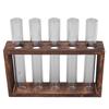 5 Test Tube Plant Terrarium Transparent Observe Growth Status Water Plant Holder with Wooden Stand for Herbs