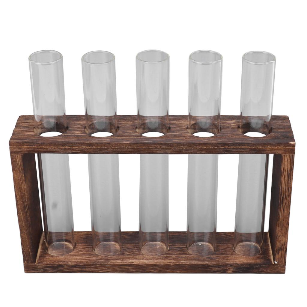 5 Test Tube Plant Terrarium Transparent Observe Growth Status Water Plant Holder with Wooden Stand for Herbs