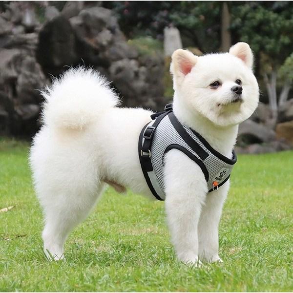 Laa Comfortable Harness + Leash Set, Pink Blue