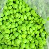 1/2Pcs Lemon Shaped Stress Relief Squeeze Ball Soft Skin DIY Sensory Fidget Toy for Party Favor Classroom Reward