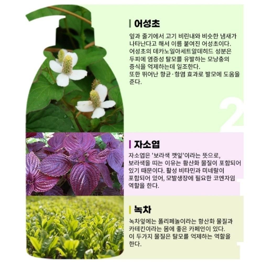 Double Houttuynia Cordata Shampoo Houttuynia Cordata Extract Hair Thickening Shampoo, 2 Bottles of Shampoo 1000ml + 1 Bottle of 150ml Mist