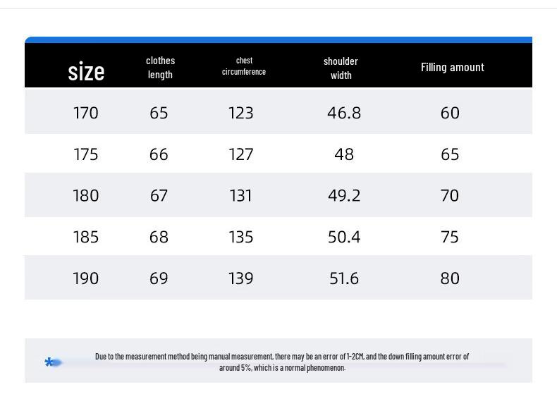 Snowflying Men's Stand Collar Down Vest