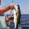 1Pc Silicone Fishing Lures Artificial Bait Bass Fishing Bait Cool Fishing Accessory