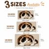 Absorbent Entryway Rug Diatomite Pet Floor Mat Practical Cat Print Doormat  Hallway