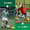 Numbered Training Cones, Colored Disc Cones, 15 Cones in 3 Colors, Perfect for Soccer, Baseball, Futsal, Dribbling, Tennis, and Practice, Includes Sto