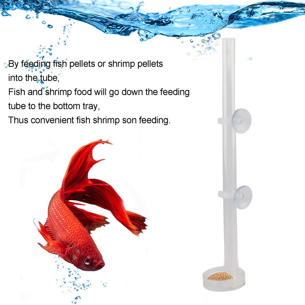 Shrimp Feeding Tube Acrylic Transparent Shrimp Feeder for Fish Aquarium