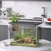 Clear Fishtanks With Safe Lid and Water Plant Holder For Gold Fish Home Desktop Decoration Aquariums Tanks
