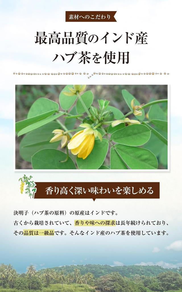 Kihoya Deep Flavor Habu Tea 4g×30 Bags Caffeine-Free Tea Bag for Cold Brew