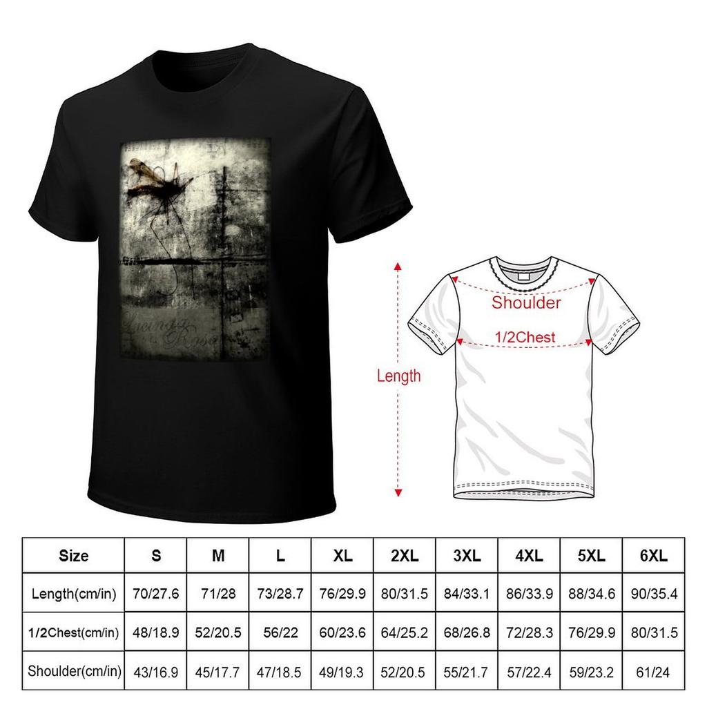 Lucinda Rosa TShirt graphics tshirts personalised blue archive t shirts for men