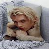 Troye Sivan Cushion Cover Pillowcase Upholstery Sofa Throw Pillow Home Decor Pillowcas