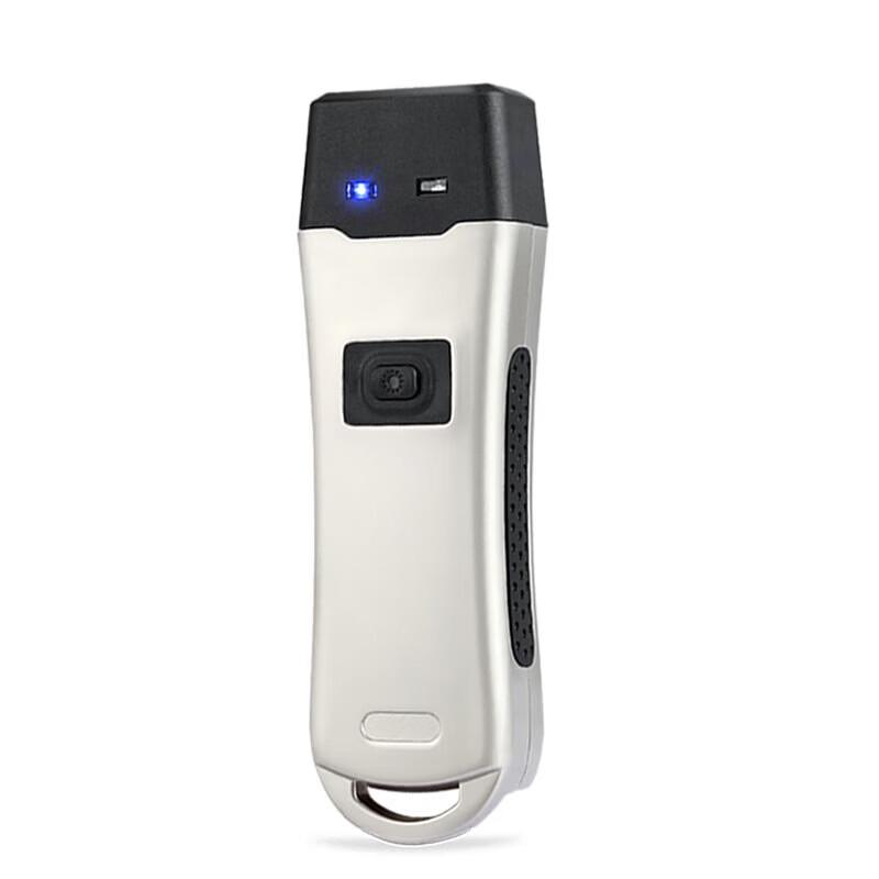 Realand RFID Patrol Device with Flashlight