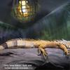 Reptile Heater Lamp Cover, - Iron Wire Reptile Heater Guard, Anti-scald Lamp Mesh Cover for Terrarium