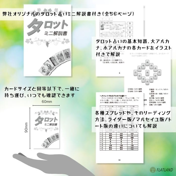 The Druidcraft Tarot, Tarot Reading Instructions, Japanese Instruction Manual Included, Authentic Tarot Cards, 78 Cards