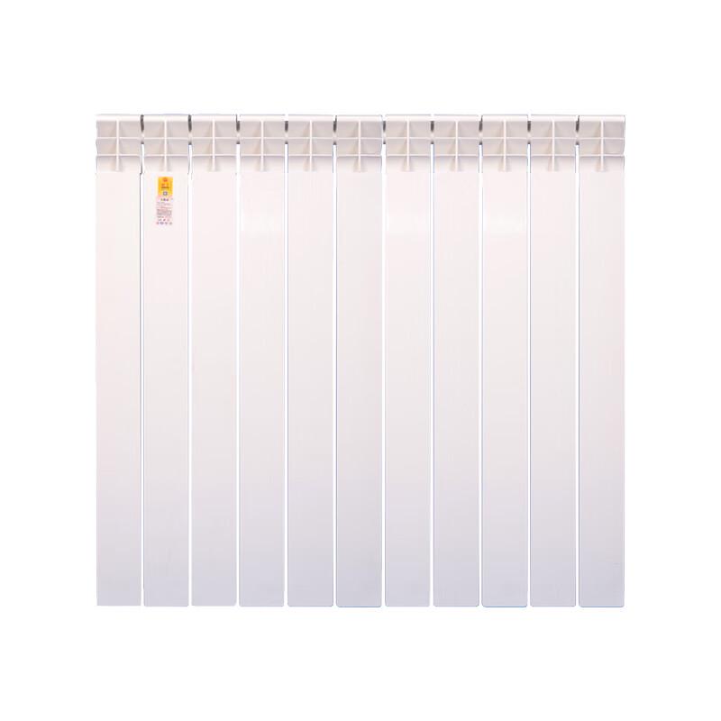Qianfeng Bi-Metal Die-Cast Aluminum Radiator