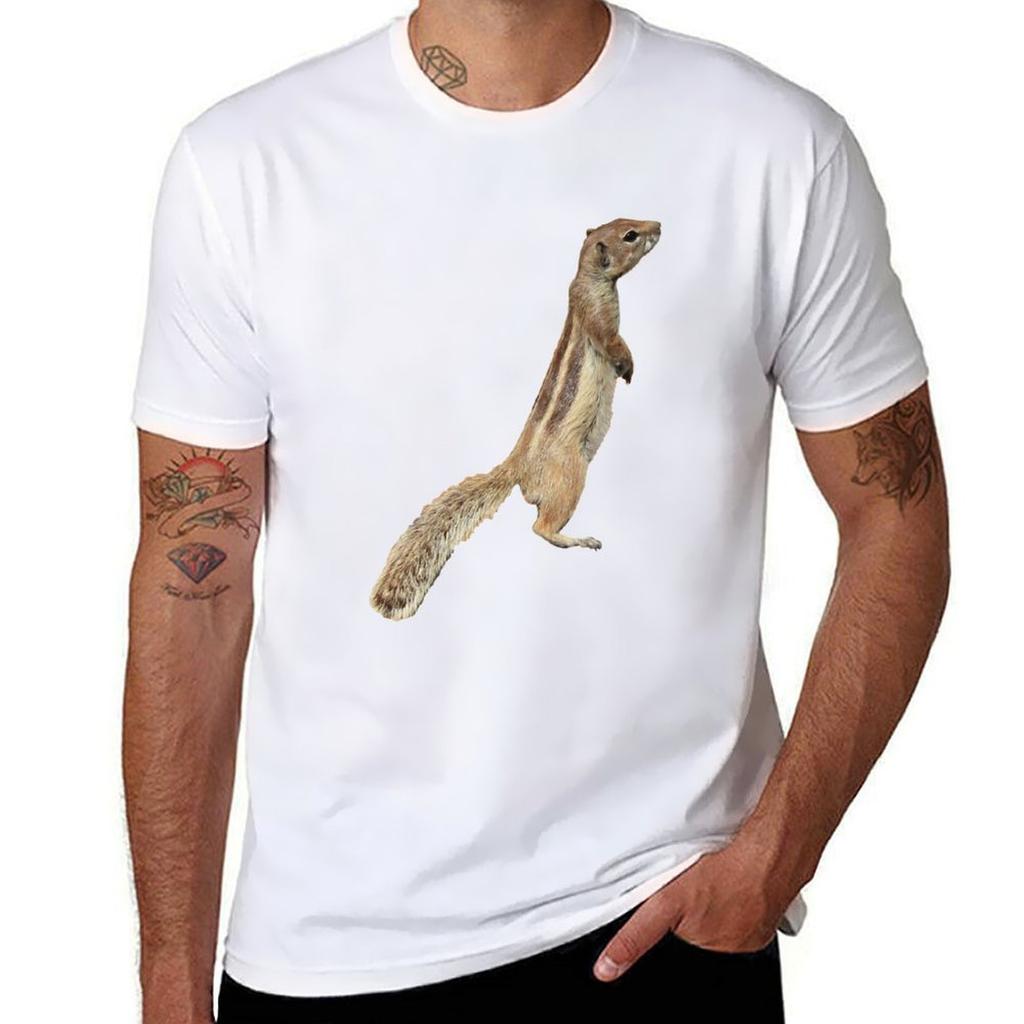 Standing Atlas Squirrel Tshirt Soft Basic Cotton Short Sleeve Tee