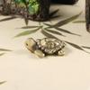 Brass Turtle Cute Little Love Turtle Animal Room Decoration Copper Figurines Home & Garden Vintage Decoration Interieur Maison