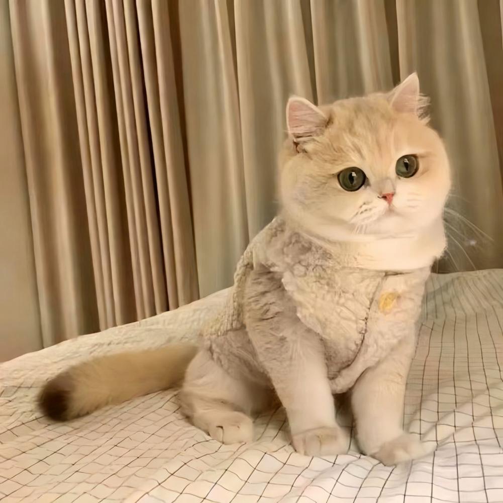 High Pet Apparel Pet Clothes for Dogs Cozy Fluffy Cat Vest for Winter Outings Warm Pet Apparel with Button Closure Soft for Wear