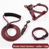 Adjustable Dog Leash and Collar Set for Small, Medium, and Large Dogs - Ideal for Walking Pets like Teddy and Golden Retriever
