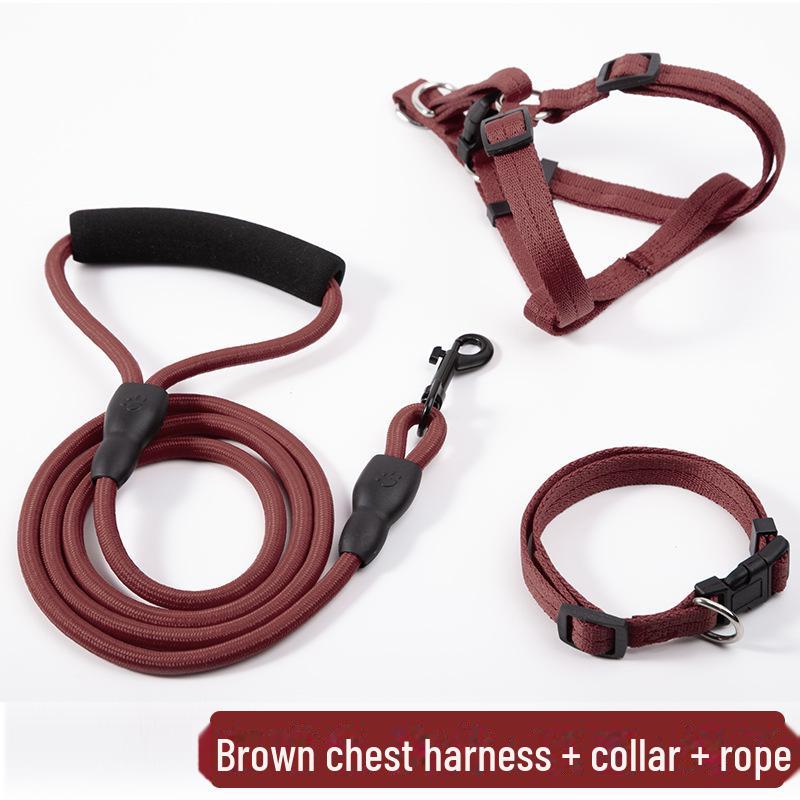 Adjustable Dog Leash and Collar Set for Small, Medium, and Large Dogs - Ideal for Walking Pets like Teddy and Golden Retriever