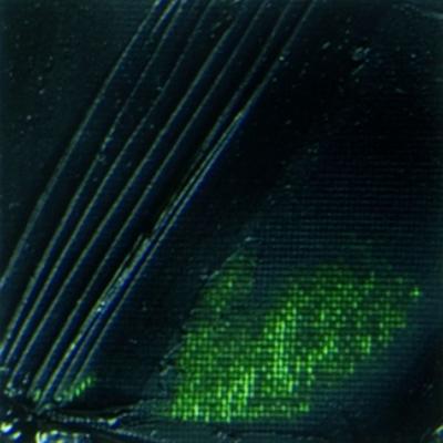 Ölfarbe - PEBEO - Auswahl - XL Tube 200 ML - Blasengrün - Schnelltrocknend