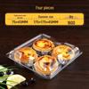 Penguin Tuan Tuan Transparent Divided Baking Boxes