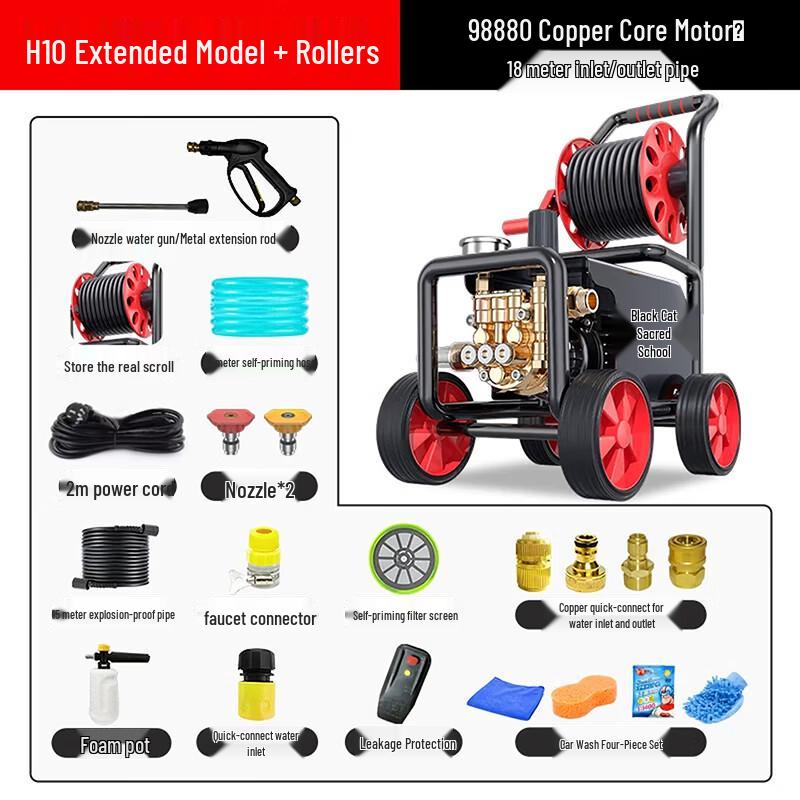Black Cat High-Pressure Washer Standard