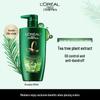L'Oréal Tea Tree Anti-Dandruff Oil Control Shampoo
