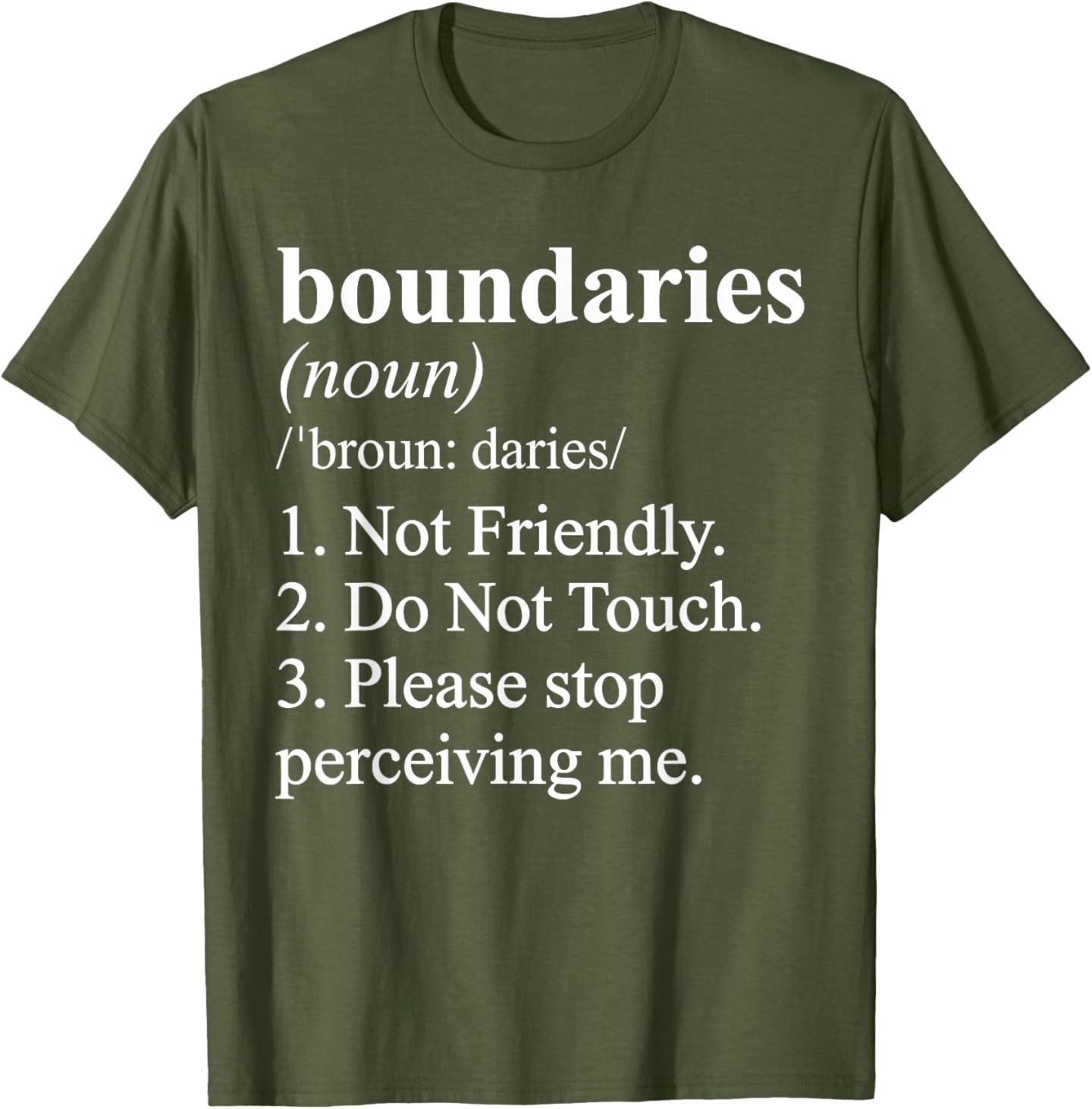 Not Friendly Definition Funny Ironic Meme T-Shirt S разноцветный