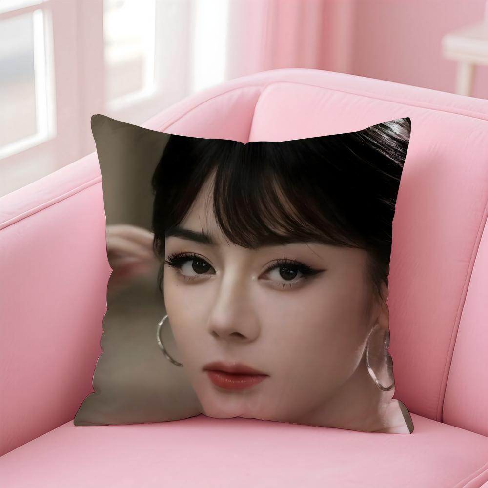 

Popular fashion Elegant Chinese DDilraba Dilmurat Cushion Cover Pillow Case Soft Friendly Fabric Concealed Zipper 30X30cm